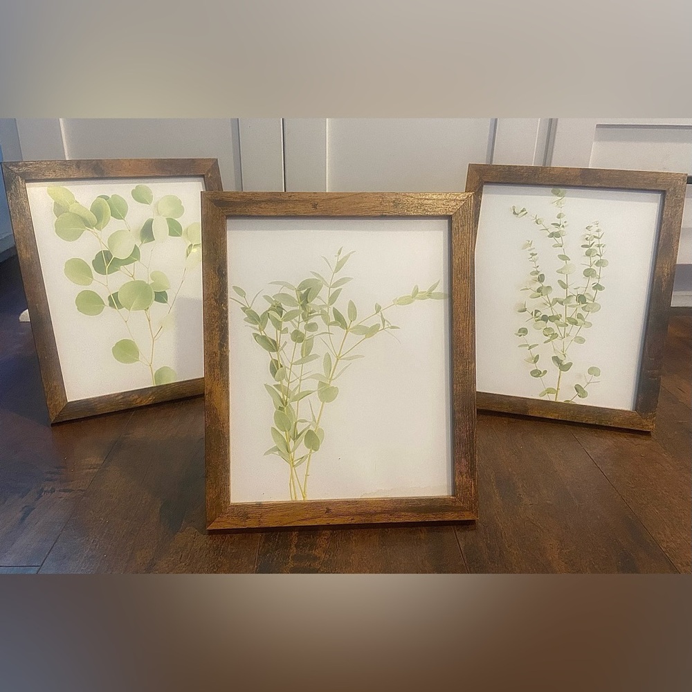 Set of 3 Plant Wall hangings | Home or Office Decor